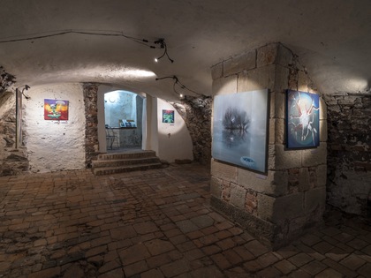 Retina thumb andele slizu 022 large