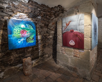 Retina thumb andele slizu 002 large